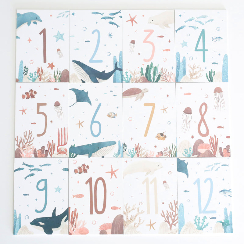 Tarjetas cumplemeses • Mar